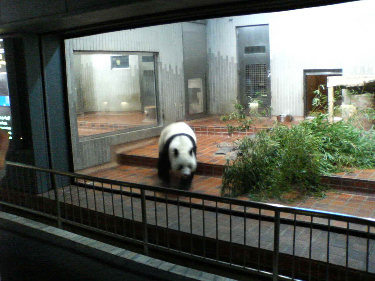 ［Livedoor Blog］上野動物園